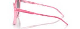 307811 - Pink Horn