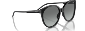 Vogue VO 5509S Sunglasses