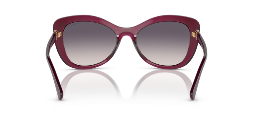 298936 - Transparent Cherry