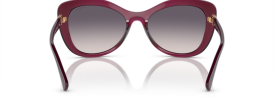 298936 - Transparent Cherry