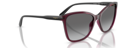 298911 - Transparent Cherry