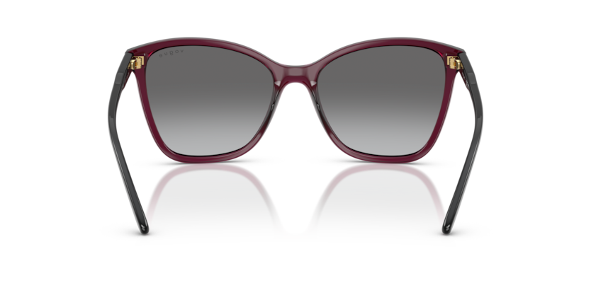 298911 - Transparent Cherry