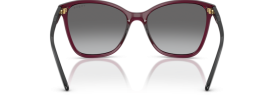 298911 - Transparent Cherry