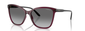 298911 - Transparent Cherry