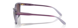 311862 - Transparent Purple