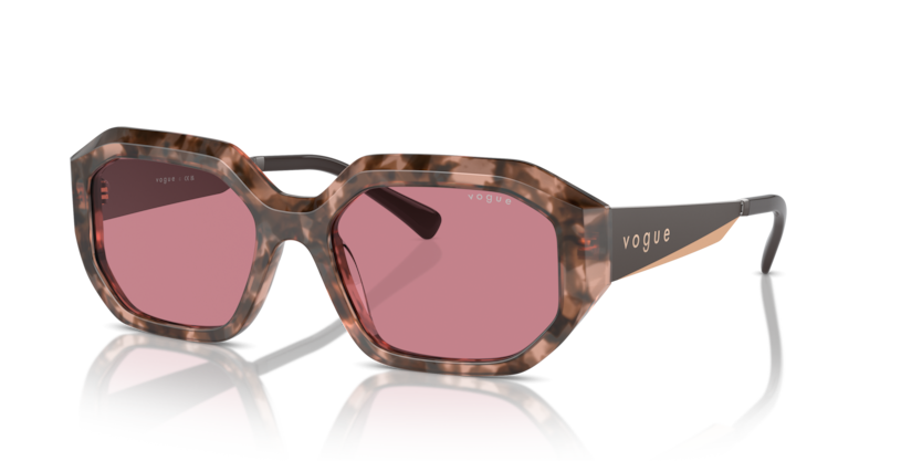 314569 - Rose Tortoise