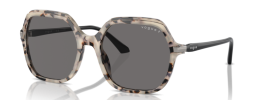 307681 - Ivory Tortoise