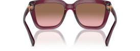 298914 - Transparent Cherry