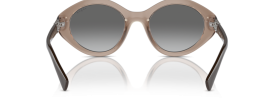 294011 - Transparent Brown