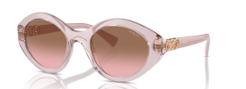 294214 - Transparent Pink