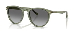 318711 - Transparent Green