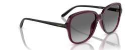 298911 - Transparent Cherry