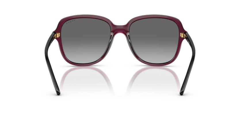 298911 - Transparent Cherry