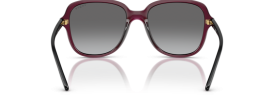 298911 - Transparent Cherry