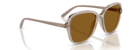 299083 - Transparent Caramel