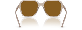 299083 - Transparent Caramel