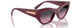 Vogue VO 5607S Sunglasses