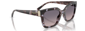 Vogue VO 5613SB Sunglasses