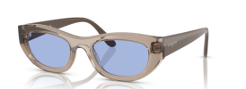 318172 - Transparent Light Brown