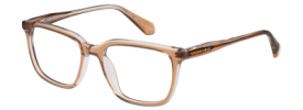 Superdry 3015 Glasses