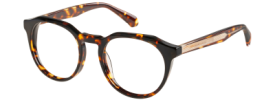Superdry 3013 Glasses