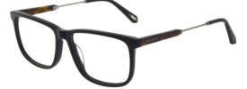 Ted Baker 8238 ODIS Glasses