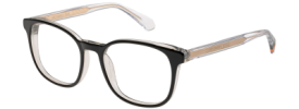 Superdry 3012 Glasses