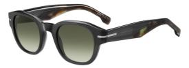 Hugo Boss BOSS 1717/S Sunglasses