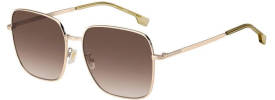 Hugo Boss BOSS 1613/FSK Sunglasses