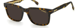 Carrera CARRERA 251/S Sunglasses