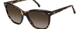 Carrera CARRERA 3043/S Sunglasses