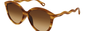 Chloe CH 0087S Sunglasses