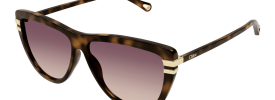 Chloe CH 0203S Sunglasses