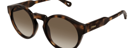 Chloe CH 0158S Sunglasses