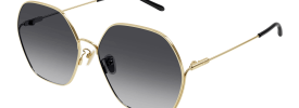 Chloe CH 0169SA Sunglasses