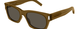 022 - BROWN