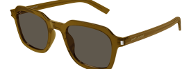 005 - BROWN