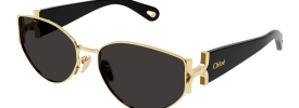 Chloe CH 0260S Sunglasses