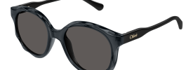 Chloe CC 0019S Sunglasses