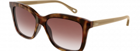 Chloe CH 0079S Sunglasses
