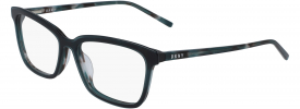DKNY DK 5024 Glasses