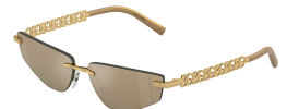 Dolce & Gabbana DG 2301 Sunglasses