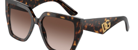 Dolce & Gabbana DG 4438 Sunglasses