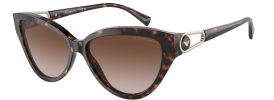 Emporio Armani EA 4192 Sunglasses