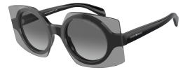 Emporio Armani EA 4207 Sunglasses
