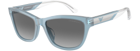 Emporio Armani EA 4227U Sunglasses