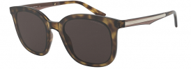 Giorgio Armani AR 8136 Sunglasses