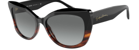Giorgio Armani AR 8161 Sunglasses