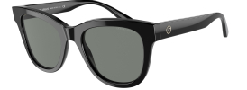 Giorgio Armani AR 8165 Sunglasses