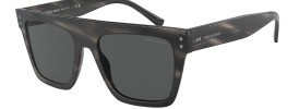 Giorgio Armani AR 8177 Sunglasses